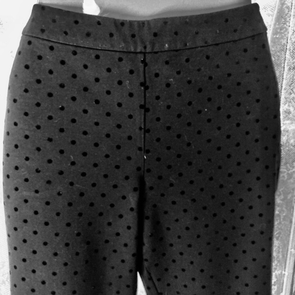 Talbots Black Pants with Polka Dots - Picture 2 of 4